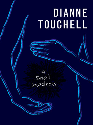 cover image of A Small Madness